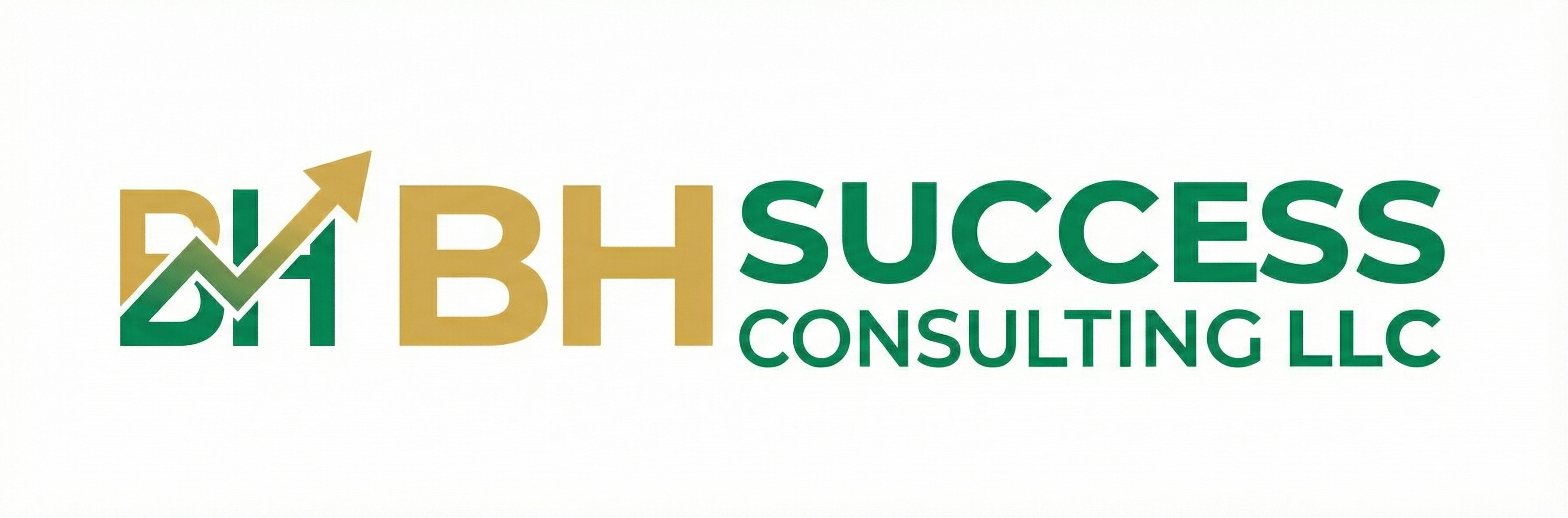 BH SUCCESS CONSULTING LLC